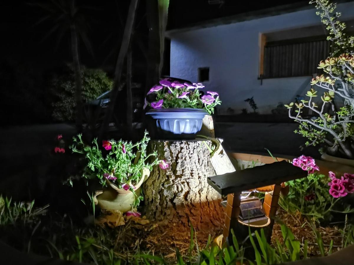 Frida Casavacanze Castellammare del Golfo Zewnętrze zdjęcie