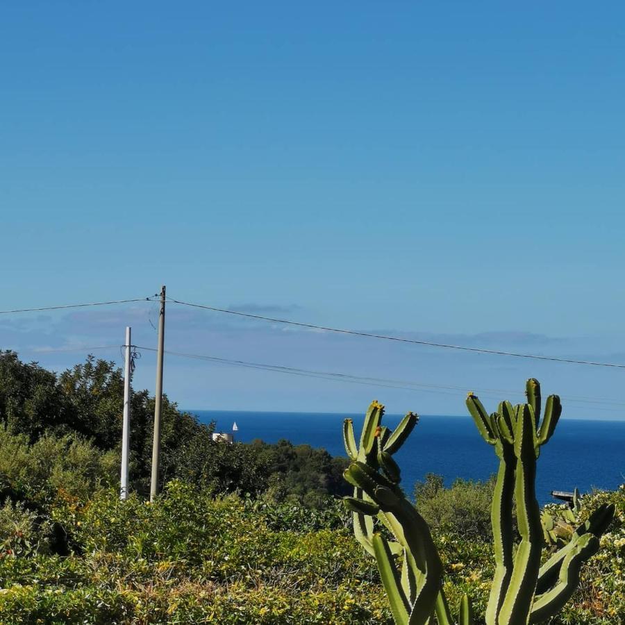 Frida Casavacanze Castellammare del Golfo Zewnętrze zdjęcie