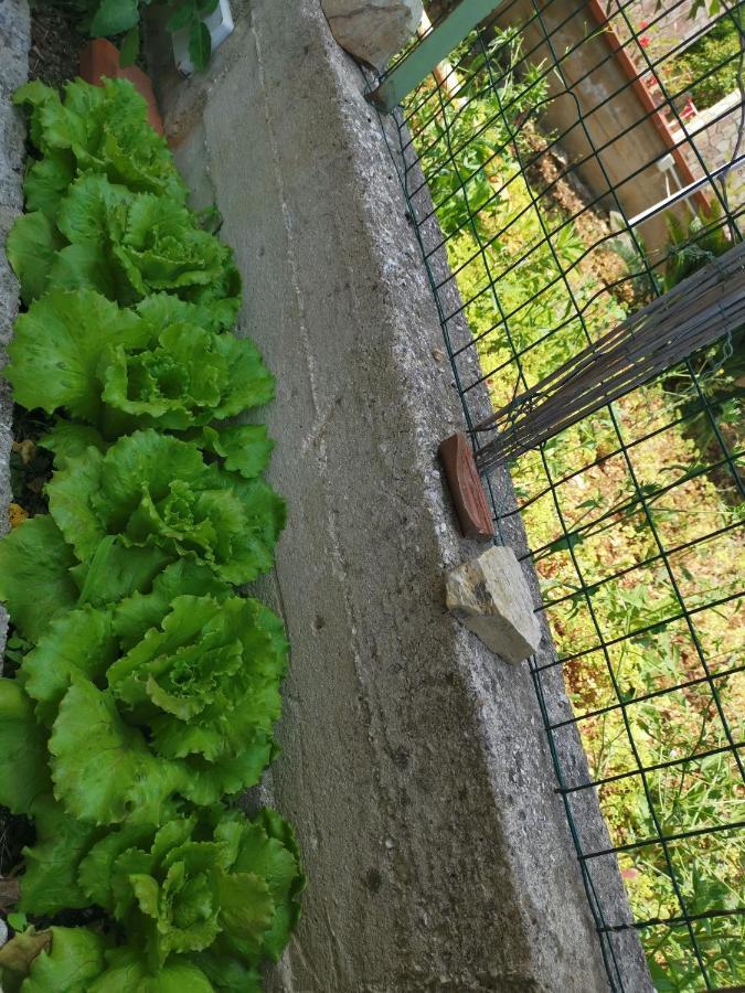 Frida Casavacanze Castellammare del Golfo Zewnętrze zdjęcie